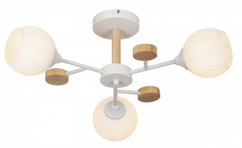 Люстра на штанге Rivoli Chiara Б0068427 в Нижнем Новгороде фото 11