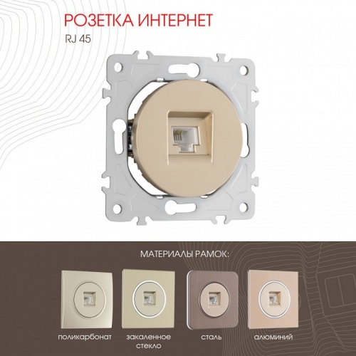 Розетка Ethernet RJ-45 без рамки Arte Milano am-202 202.45-1.shampan в Нижнем Новгороде фото 7