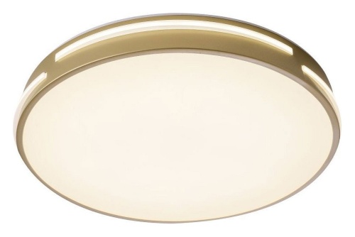 Накладной светильник Zortes Gabby ZRS.90610.40 в Нижнем Новгороде фото 8