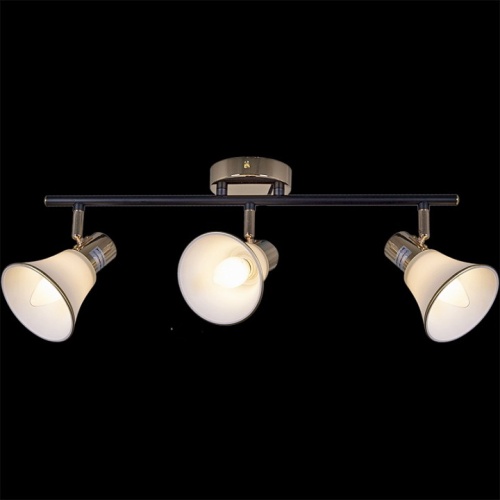 Люстра на штанге  05901-0.8-03 BK+FGD в Нижнем Новгороде фото 4