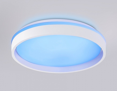 Накладной светильник Ambrella Light FZ FZ601 в Нижнем Новгороде фото 11