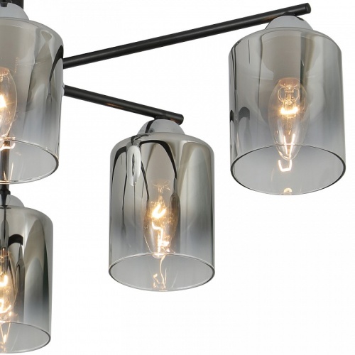 Люстра на штанге 07274-0.3-06 в Нижнем Новгороде фото 2