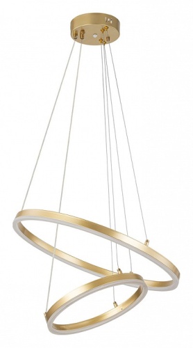 Подвесной светильник Escada Void 10254/2LED Gold APP в Нижнем Новгороде фото 4