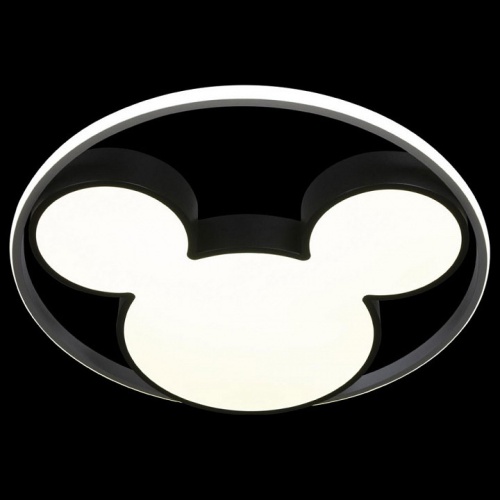 Накладной светильник Loft it Mike 10166 в Нижнем Новгороде фото 3