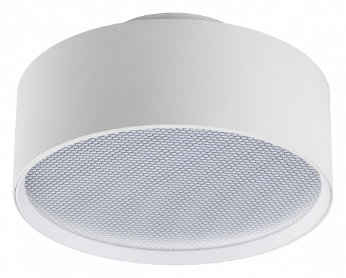 Накладной светильник Lightstar Acuto 215936 в Нижнем Новгороде