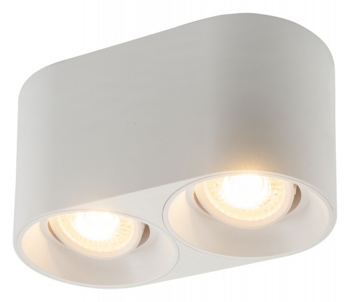 Накладной светильник Denkirs DK3040 DK3036-WH в Нижнем Новгороде фото 5