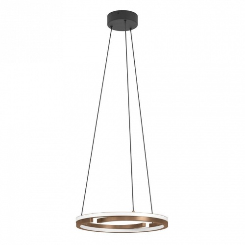 Подвесной светильник Eglo MEZZOMONTE 901826 в Нижнем Новгороде фото 4