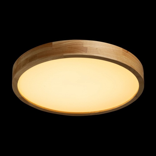 Накладной светильник De City Норден 660015501 в Нижнем Новгороде фото 4