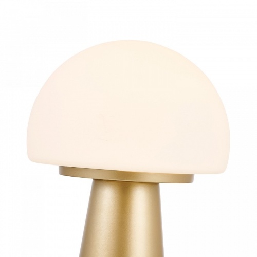 Настольная лампа декоративная Favourite Hongo 4450-1T в Нижнем Новгороде фото 7