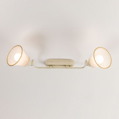 Спот Citilux Прованс CL511524 в Нижнем Новгороде фото 11