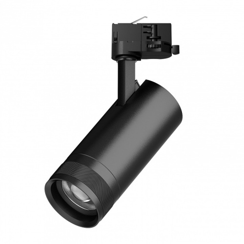 Светильник на штанге Lightstar Canno Pro C4207QT в Нижнем Новгороде фото 3