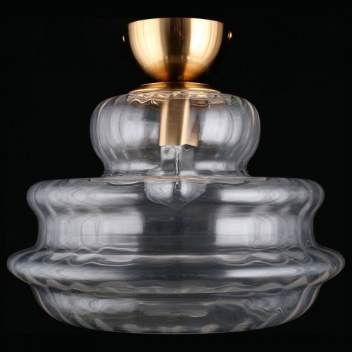 Накладной светильник Aployt Liana APL.303.07.01 в Нижнем Новгороде фото 3