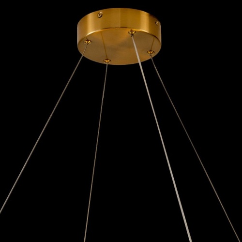 Подвесной светильник Zortes Moi ZRS.1201.01 в Нижнем Новгороде фото 8