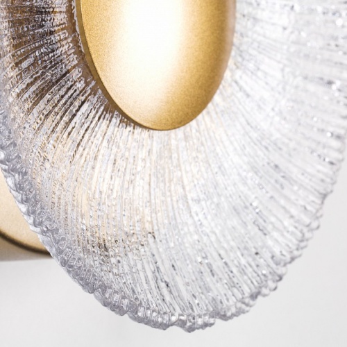 Накладной светильник Lightstar Erica 609602 в Нижнем Новгороде фото 2