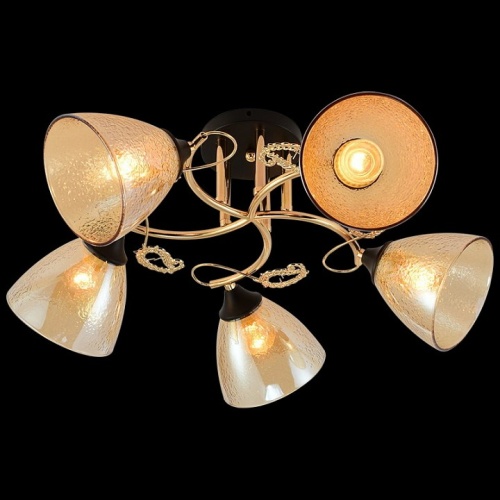 Потолочная люстра 01321-0.3-05 FGD+BK в Нижнем Новгороде фото 2