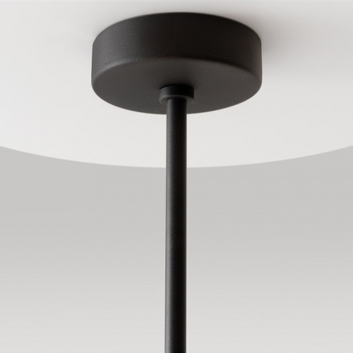 Люстра на штанге Maytoni Modesto MOD360PL-08B в Нижнем Новгороде фото 9