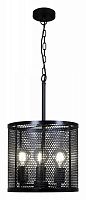 Подвесной светильник ILLUMICO  IL1031-3P-05 BLACK в Нижнем Новгороде