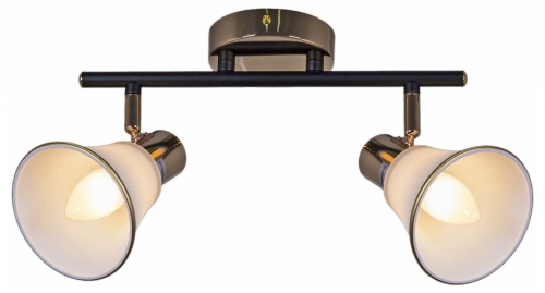 Светильник на штанге  05901-0.8-02 BK+FGD в Нижнем Новгороде