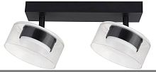 Спот Arte Lamp ALIUS A8042PL-2BK в Нижнем Новгороде