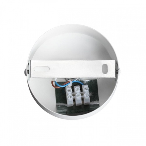 Бра Lumion Animaisa 8002/1W в Нижнем Новгороде фото 2