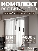 Комплект трековый Hesby Lighting Skylite №12 HSBL_kompl_S012_NI1B4K в Нижнем Новгороде