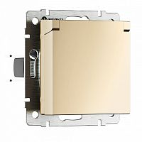 Розетка с заземлением и со шторкой, без рамки с крышкой Werkel шампань W1171211 в Нижнем Новгороде