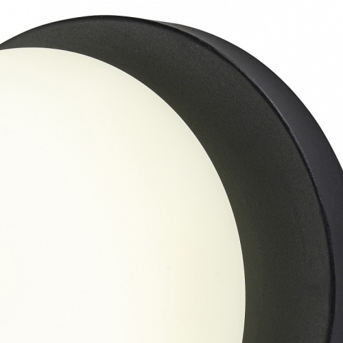 Накладной светильник Escada METEOR 10273/1LED Black в Нижнем Новгороде фото 3