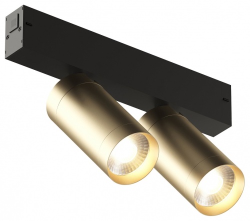 Светильник на штанге Denkirs Smart DK8012-BG в Нижнем Новгороде