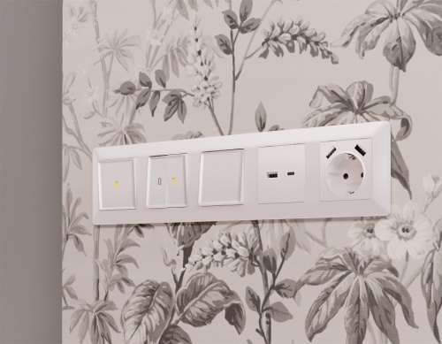 Накладка для розетки с заземлением и со шторками и 2хUSB type A Ambrella Volt ALFA AP2090 в Нижнем Новгороде фото 2