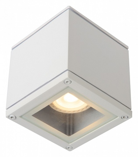 Накладной светильник Lucide Aven 22963/01/31 в Нижнем Новгороде фото 4