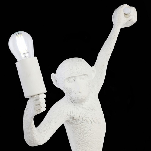 Накладной светильник EVOLUCE Tenato SLE115111-01 в Нижнем Новгороде фото 9