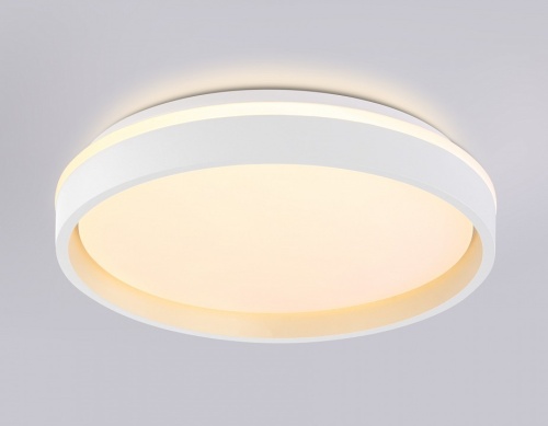 Накладной светильник Ambrella Light FZ FZ601 в Нижнем Новгороде фото 6