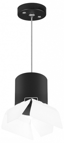 Подвесной светильник Lightstar Rullo RP3487486 в Белово фото 2