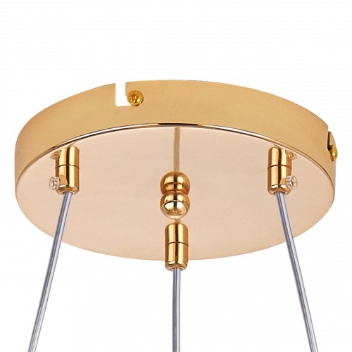 Подвесная люстра Lightstar Acrile G9 737033 в Нижнем Новгороде фото 4