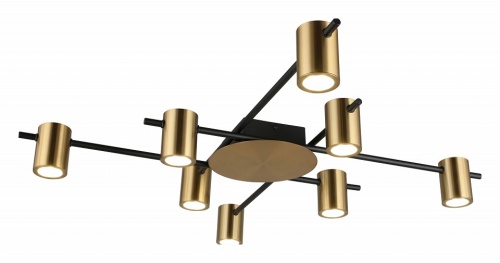 Потолочная люстра Aployt Elwisia APL.633.07.08 в Нижнем Новгороде