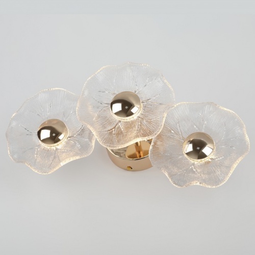 Накладной светильник Rivoli Shannon Б0061948 в Нижнем Новгороде фото 7