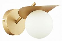 Бра EVOLUCE Bolzano SLE220501-01 в Нижнем Новгороде