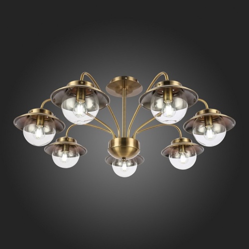 Потолочная люстра EVOLUCE Garonni SLE110102-07 в Нижнем Новгороде фото 7