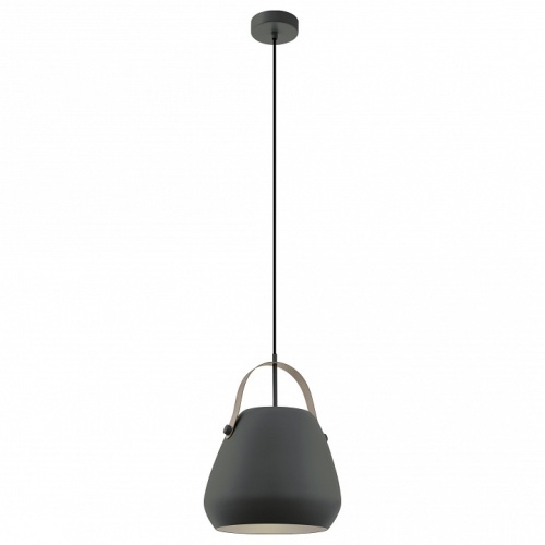 Подвесной светильник Eglo Bednall 98349 в Нижнем Новгороде фото 2