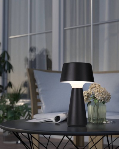 Настольная лампа декоративная Eglo HUESA 75796 в Нижнем Новгороде фото 2