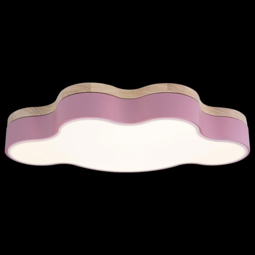 Накладной светильник Loft it Axel 4 10005/30 Pink в Нижнем Новгороде фото 3