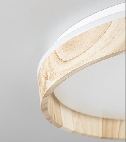 Накладной светильник Citilux ENZO CL753352G в Нижнем Новгороде фото 5