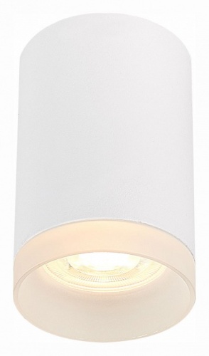 Накладной светильник ST-Luce ST100 ST100.502.01 в Белокурихе фото 4