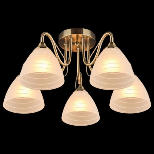 Потолочная люстра 03078-0.3-05 в Нижнем Новгороде