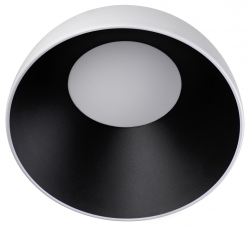 Накладной светильник Loft it Egg 10197/350 WB в Нижнем Новгороде фото 3