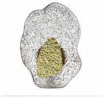 Накладной светильник Odeon Light L-VISION 5460/12WLA в Нижнем Новгороде