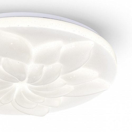 Накладной светильник Escada POLLY 472/PL LED в Нижнем Новгороде фото 2