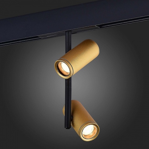 Светильник на штанге ST-Luce ST808 ST808.236.16 в Нижнем Новгороде фото 5