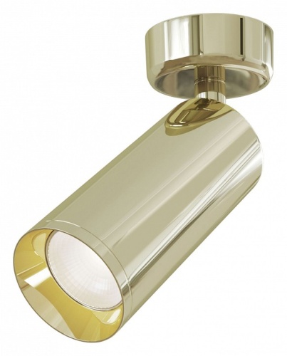 Спот Maytoni Focus C017CW-01G в Нижнем Новгороде