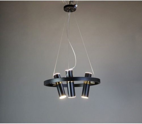 Подвесная люстра Zortes Tweeny ZRS.1828.50 в Нижнем Новгороде фото 2